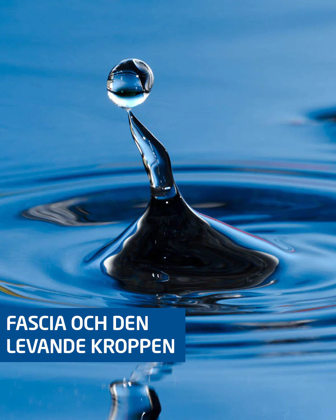 Fascia och den levande kroppen